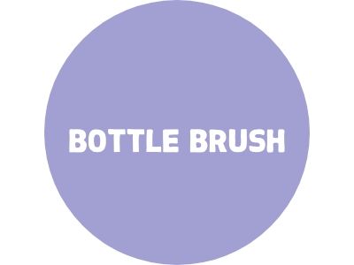 Bottle Brush